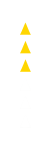 flechasYellow